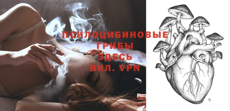 shop как зайти  Бутурлиновка  Псилоцибиновые грибы Psilocybe  дарнет шоп 